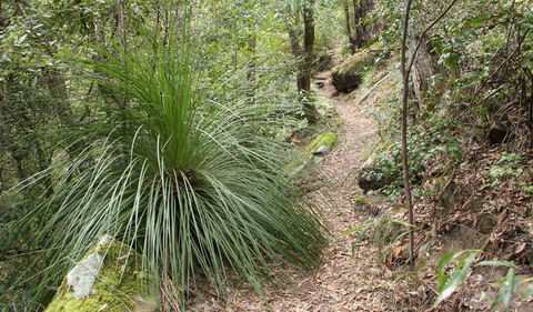 Dharug National Park - Accommodation Tasmania 2