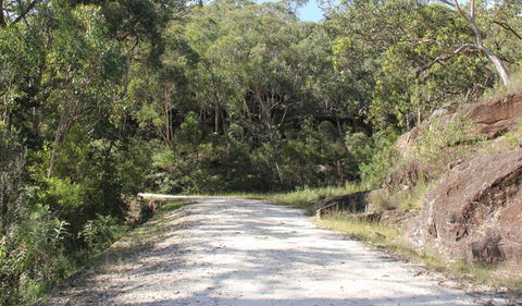 Dharug National Park - Accommodation Tasmania 1