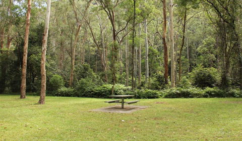 Dharug National Park - Accommodation Tasmania 3
