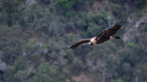 Oxley Wild Rivers National Park - Accommodation Tasmania 2