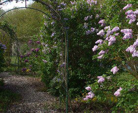 Back O The Moon - Accommodation Tasmania 4
