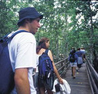 Bellthorpe National Park - Accommodation Tasmania
