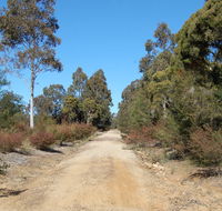 Werakata National Park - Accommodation Tasmania