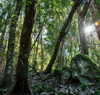 Copeland Tops State Conservation Area - Accommodation Tasmania
