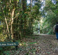 Basin Loop track - Accommodation Tasmania