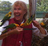 Maleny Botanic Gardens  Bird World - Accommodation Tasmania