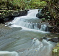 Jerusalem Creek trail - Accommodation Tasmania