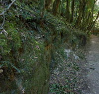 Hidden Treasure track - Accommodation Tasmania
