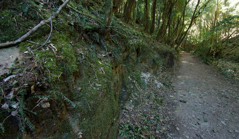 Hidden Treasure Track - Accommodation Tasmania 0