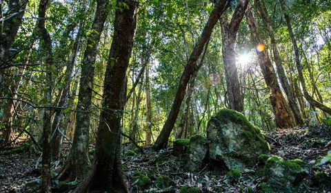 Hidden Treasure Track - Accommodation Tasmania 1
