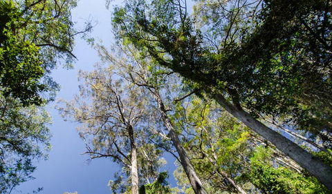 Hidden Treasure Track - Accommodation Tasmania 3