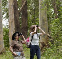 Chichester State Forest - Accommodation Tasmania