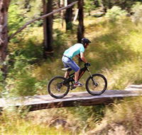 The Steps Mountain Bike Park - Accommodation Tasmania