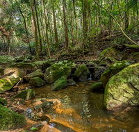 Palm Grove Nature Reserve - Accommodation Tasmania