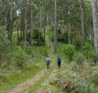 The Green Gully track - Accommodation Tasmania