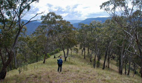The Green Gully Track - Accommodation Tasmania 1