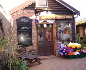 Australian Alpaca Barn - Morpeth - Accommodation Tasmania 0