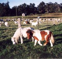Trudgalong Farm - Accommodation Tasmania