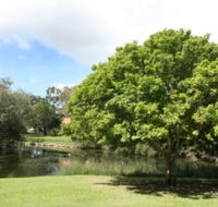 Hervey Bay Botanic Gardens - Accommodation Tasmania