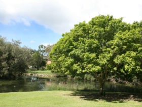 Hervey Bay Botanic Gardens - Accommodation Tasmania 0
