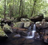 Kangaroo River - Accommodation Tasmania