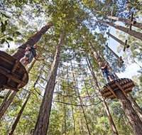 TreeTop Adventure Park Central Coast - Accommodation Tasmania