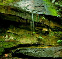 Strickland State Forest - Accommodation Tasmania