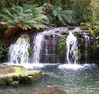 Barrington Tops National Park Walks - Accommodation Tasmania