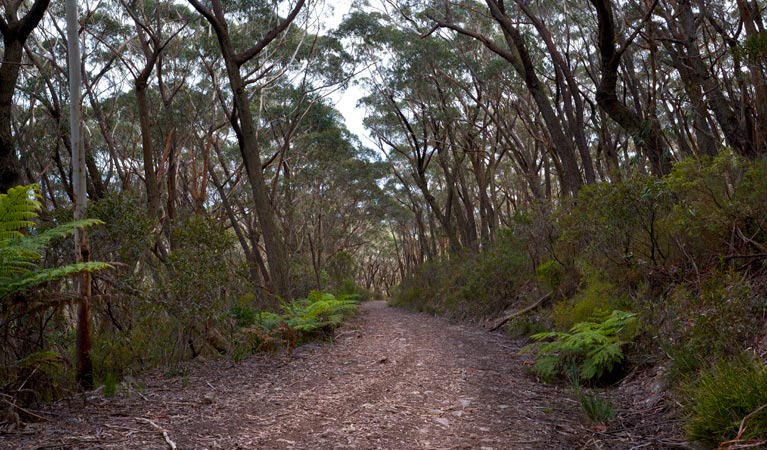 Yadboro NSW Accommodation Tasmania
