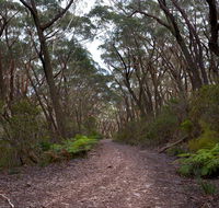 Budawang National Park - Accommodation Tasmania