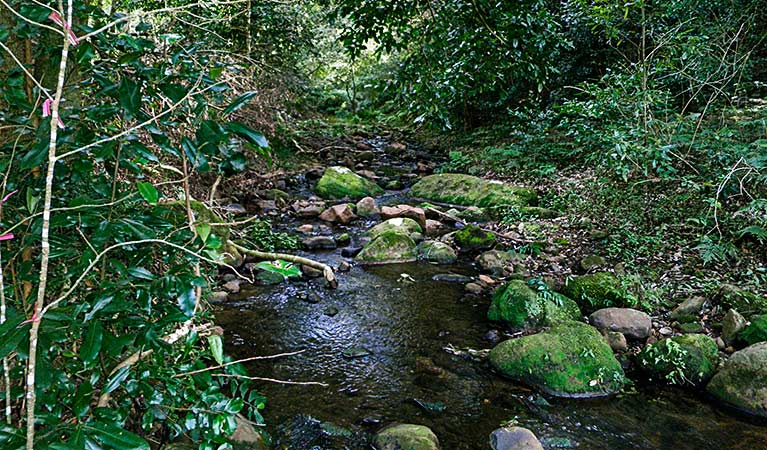 Macquarie Pass NSW Accommodation Tasmania