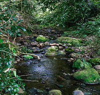 Macquarie Pass National Park - Accommodation Tasmania