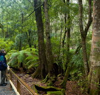 Monga National Park - Accommodation Tasmania