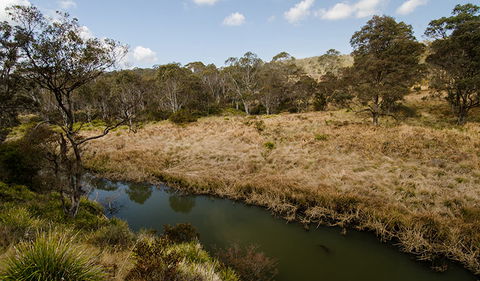 Werrikimbe National Park - Accommodation Tasmania 0