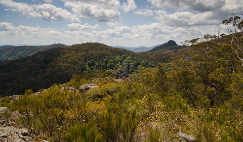 Werrikimbe National Park - Accommodation Tasmania 1