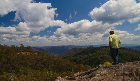 Werrikimbe National Park - Accommodation Tasmania 2