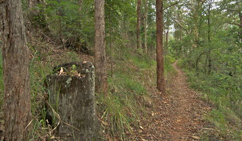 Border Loop Walk - Accommodation Tasmania 0