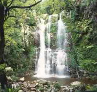 Budderoo National Park - The Falls Walk - Accommodation Tasmania
