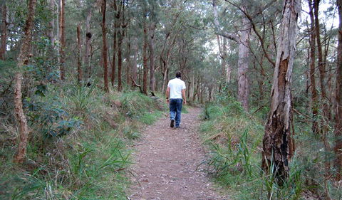 Lake Macquarie State Conservation Area - Accommodation Tasmania 3