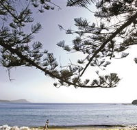 Terrigal Beach - Accommodation Tasmania