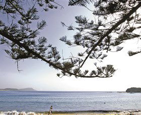 Terrigal Beach - Accommodation Tasmania 0