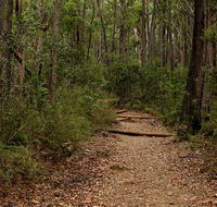 Pigeon House Mountain Didthul walking track - Accommodation Tasmania