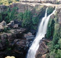 Minnamurra Rainforest Centre Budderoo National Park - Accommodation Tasmania