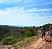 Moonee Beach trail - Accommodation Tasmania