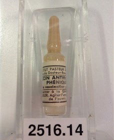 Museum Of Human Disease - Accommodation Tasmania 2