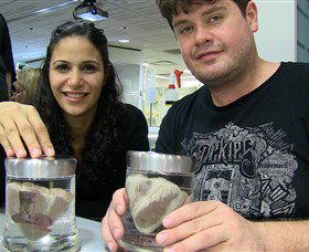 Museum Of Human Disease - Accommodation Tasmania 1