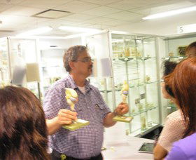 Museum Of Human Disease - Accommodation Tasmania 3