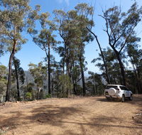 Wadbilliga Road drive - Accommodation Tasmania