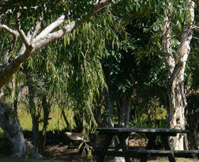 Naughtons Gap NSW Accommodation Tasmania