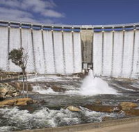 Wellington National Park - Accommodation Tasmania